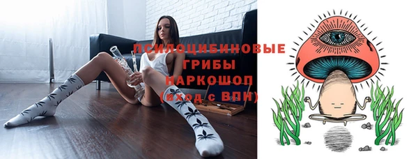 меф VHQ Дмитриев